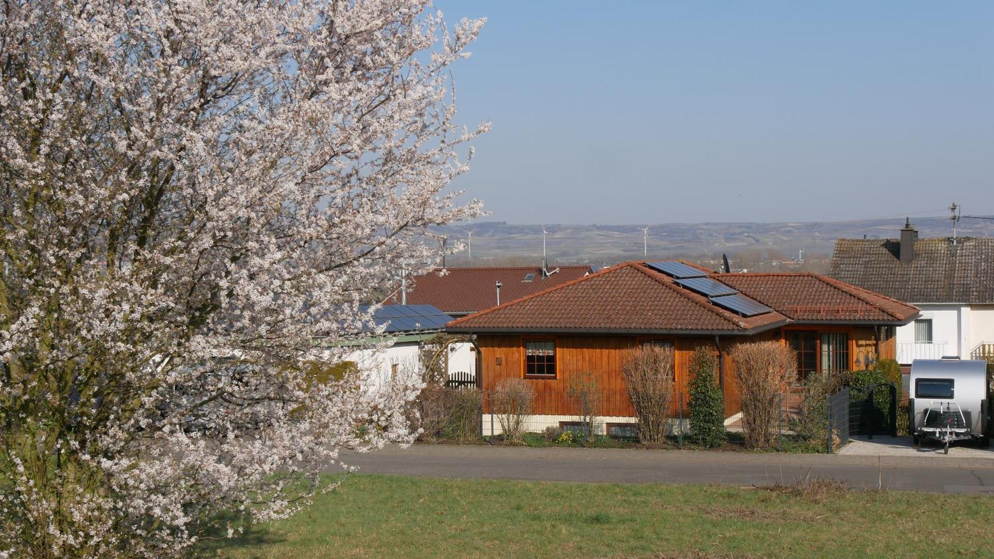 Ferienwohnung An Den Weingaerten Langenlonsheim ภายนอก รูปภาพ